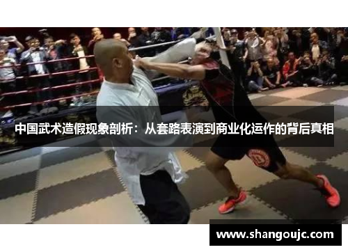 中国武术造假现象剖析：从套路表演到商业化运作的背后真相