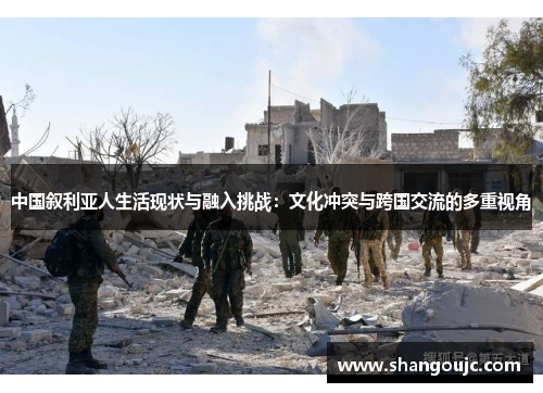 中国叙利亚人生活现状与融入挑战：文化冲突与跨国交流的多重视角