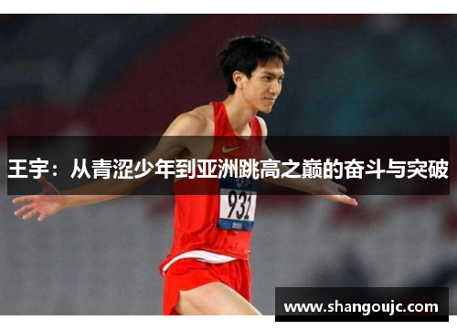 王宇：从青涩少年到亚洲跳高之巅的奋斗与突破