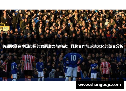 英超联赛在中国市场的发展潜力与挑战：品牌合作与球迷文化的融合分析